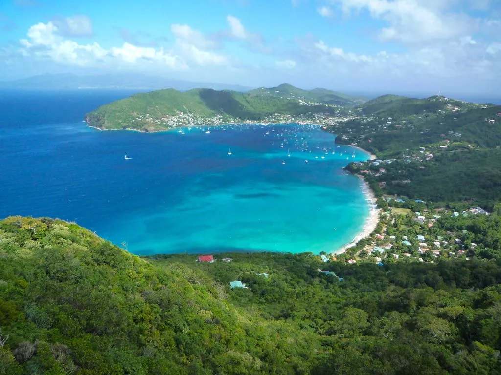 Bay Tree Luxury Villa