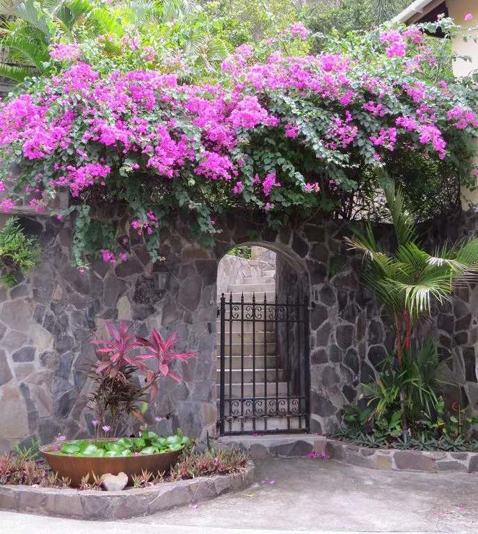 Bay Tree Luxury Villa