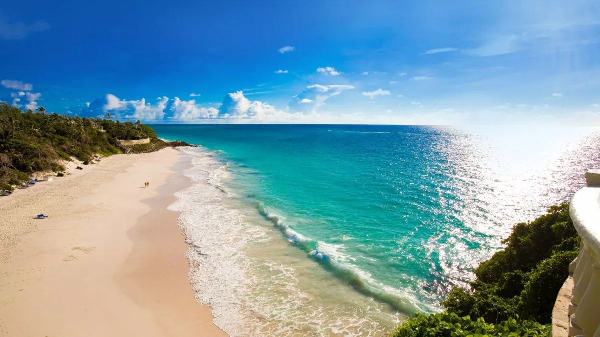 The Crane 544 a and b